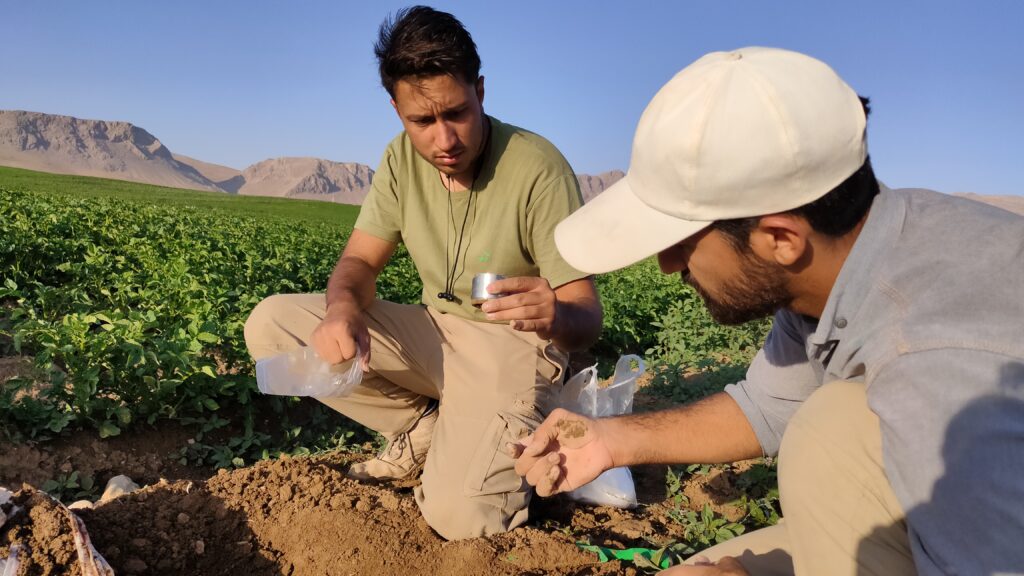 نمونه برداری از خاک
