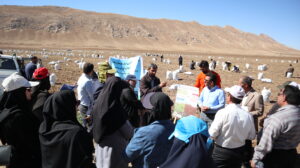 برگزاری روز مزرعه با سازمان تحقیقات، آموزش و ترویج کشاورزی در استان چهارمحال بختیاری، شهرستان بروجن برگزاری روز مزرعه با سازمان تحقیقات، آموزش و ترویج کشاورزی در استان چهارمحال بختیاری، شهرستان بروجن