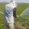 طراحی و اصلاح سیستم آبیاری